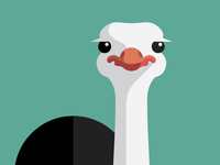 Ostrich