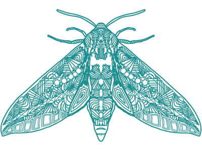 Cold_moth