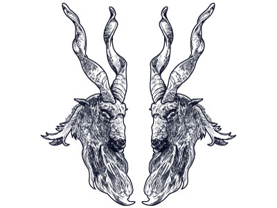 Markhors