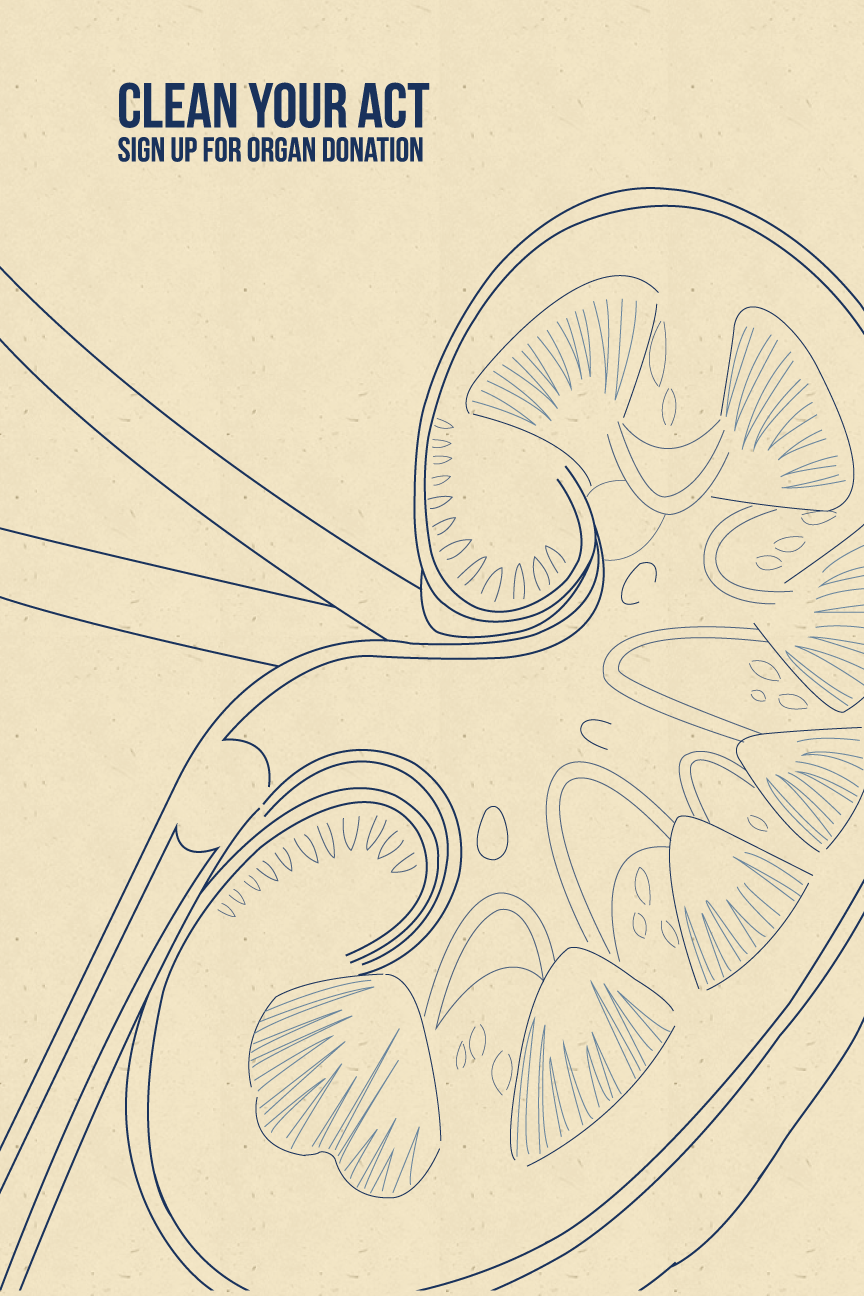Kidney_full