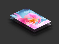Dribbble_teaser