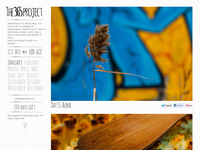 365 photo project