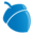 Blue Acorn