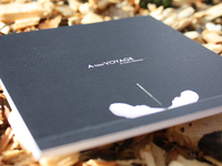 Tinyvoyage_prints_1_teaser