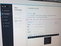 New Campaign Step2