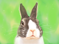 “Did somebody say ‘carrots'?”
