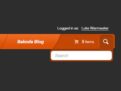 Bakoda-search