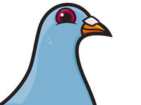 Pigeon
