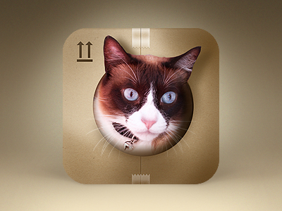 Procatinatorbyclauaskee