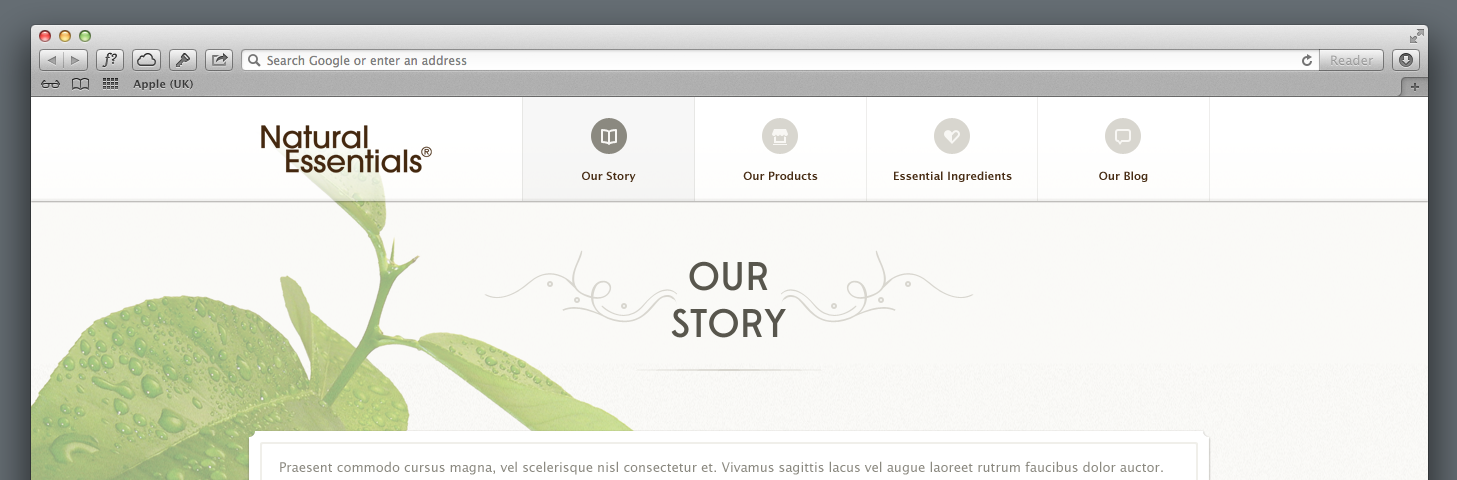 Our-story