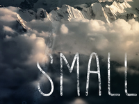 the small things