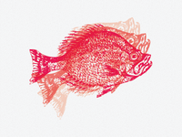 Fish_teaser