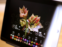 Bloomclockhd_teaser