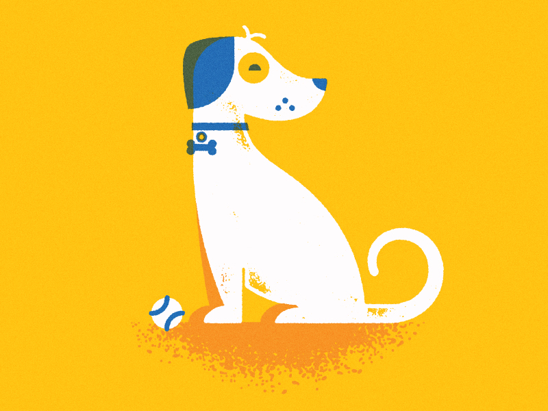 A_dog