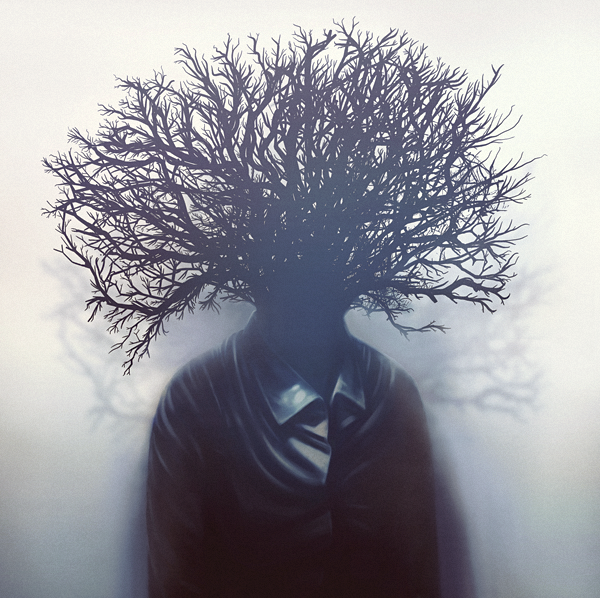 Mr_branch