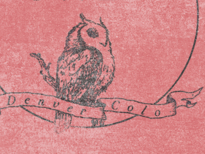 Littleowldribbble2