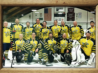 Stingers_photo_teaser