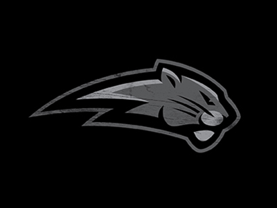 Bigcat