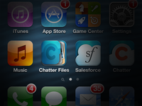 Test App Icon