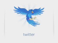 Insivia Twitter Bucket Animation