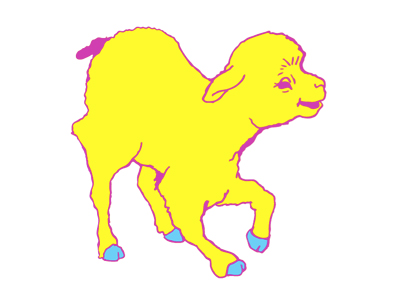 Draw Lamb