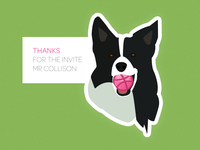 Border Collie