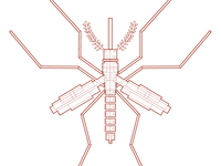Mosquito