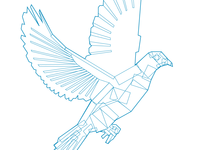 Dove