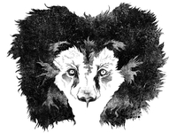 Lion WIP