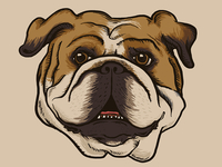 Porterdawg_teaser