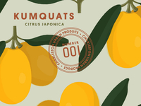 CHS Street Fruit