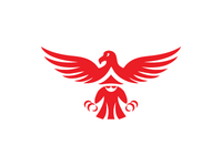 Eagle Wizard