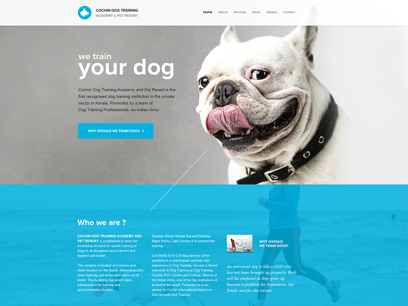 Dog-training