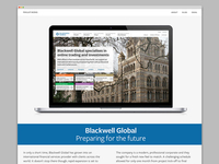 Case Study in Portfolio