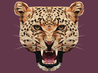 - CHEETAH - 