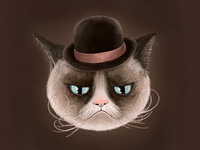 Grumpy Cat