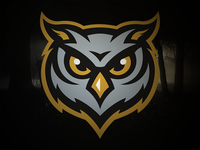 Owls