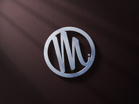 Shiny Logo (check 2x)