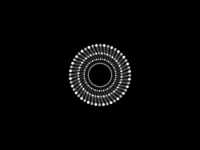 Circle of Circles