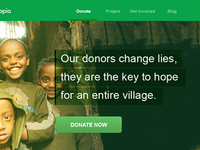 Non-profit Landing Page