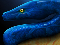 Python_teaser