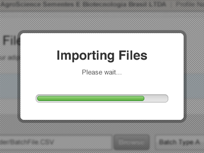 Import_process_2