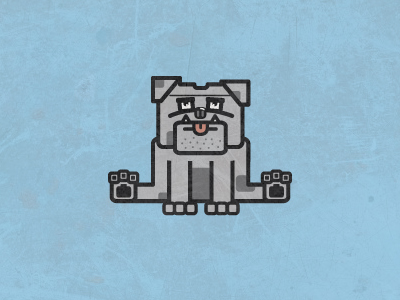 Square-bulldog