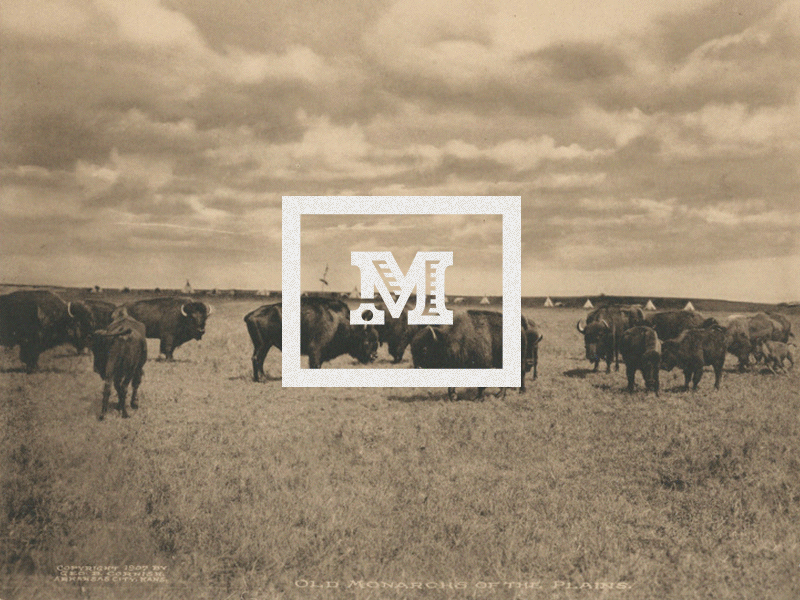 Maxwell-filmworks