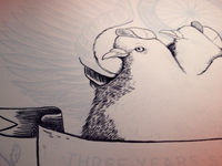 Pigeons