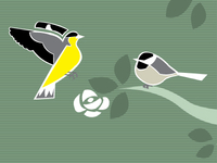 Birds2_teaser