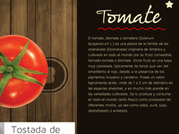 Primeraidea_teaser