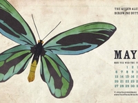 Ttwn-may-2013-wallpaper-dribble_teaser