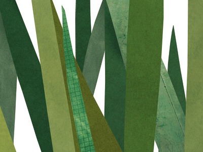 Paper Grass