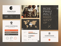 Flat Roman Typeface   Ui